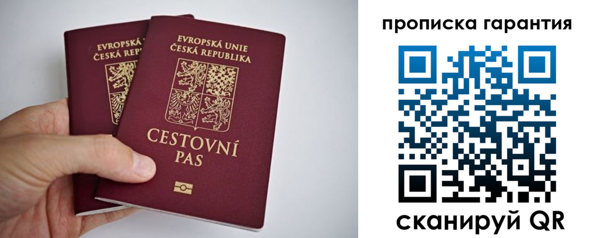 прописка в Десногорске